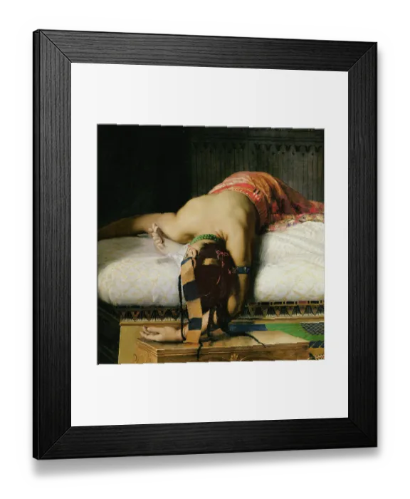 Framed Print : Musee des Augustins, Toulouse, France