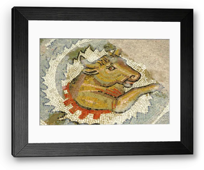 Framed Print : Bull, antique Roman floor mosaic Framed Print : Bull, antique Roman floor mosaic