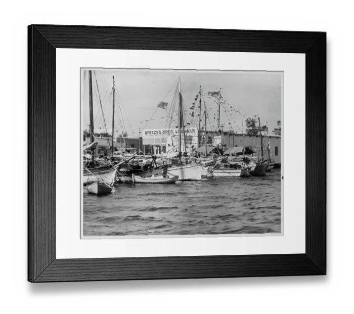 Framed Print : The Tarpon Springs Fleet Framed Print : The Tarpon Springs Fleet