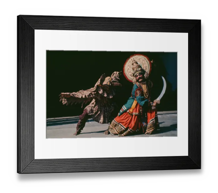 Framed Print : Dances With Birds Framed Print : Dances With Birds