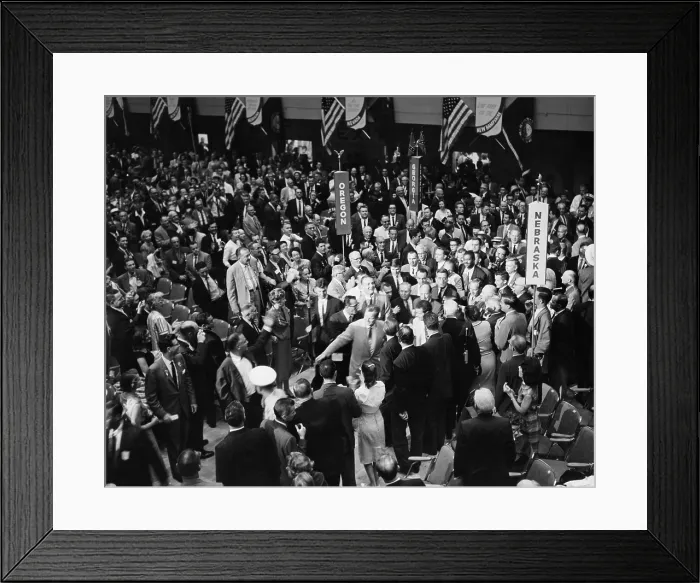 Framed Print : Democratic National Convention Framed Print : Democratic National Convention