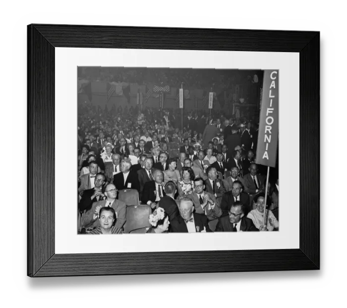 Framed Print : Democratic National Convention Framed Print : Democratic National Convention