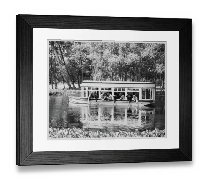 Framed Print : Silver Springs, Florida Framed Print : Silver Springs, Florida