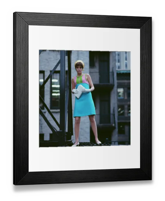 Framed Print : Women's Fashions