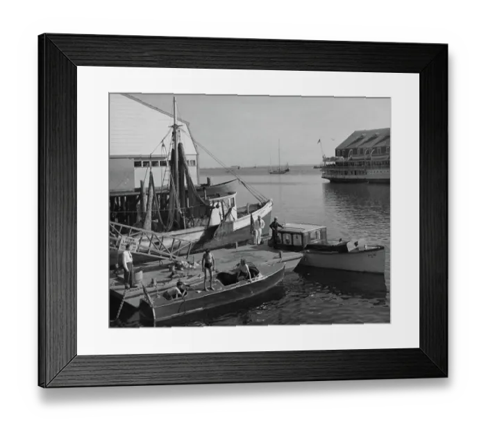 Framed Print : Provincetown Harbor Framed Print : Provincetown Harbor