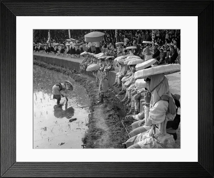 Framed Print : Agriculture In Japan Framed Print : Agriculture In Japan