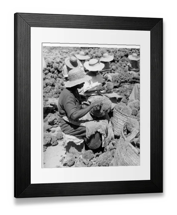 Framed Print : Women At Work In Nassau, Bahamas Framed Print : Women At Work In Nassau, Bahamas