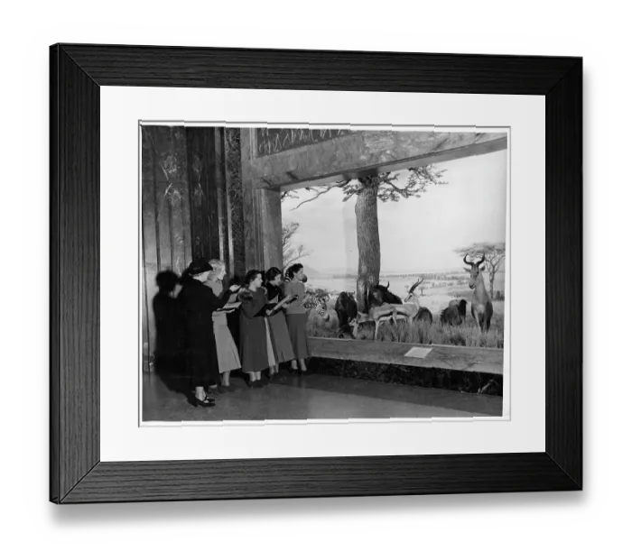 Framed Print : The Museum Of Natural History In New York City, New York