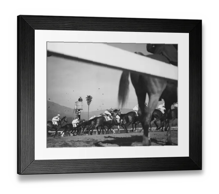 Framed Print : Horse Race Framed Print : Horse Race