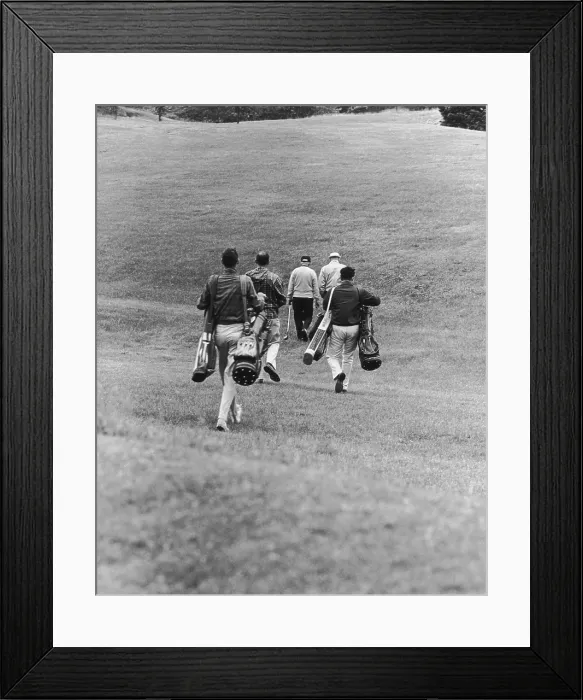 Framed Print : Golf Buddies Framed Print : Golf Buddies