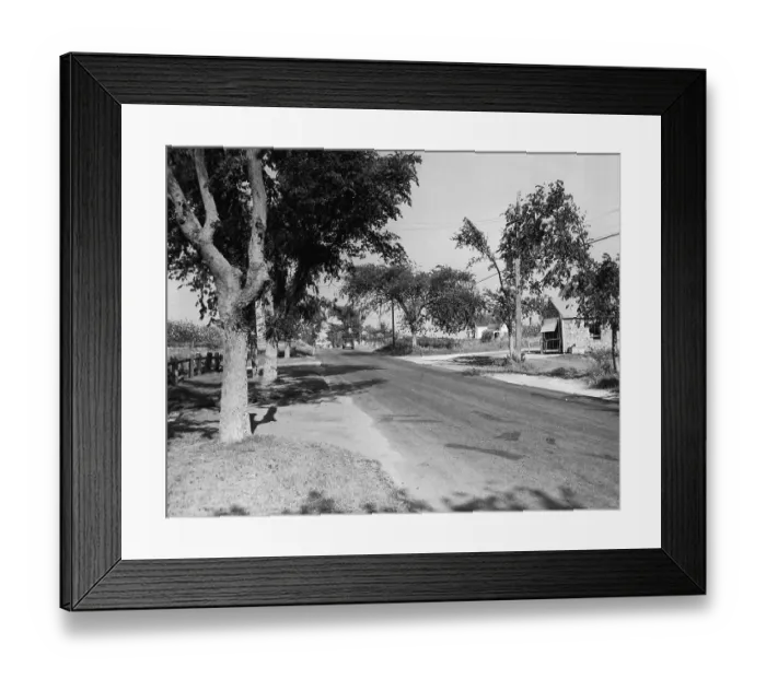 Framed Print : Cape Cod Traffic Framed Print : Cape Cod Traffic