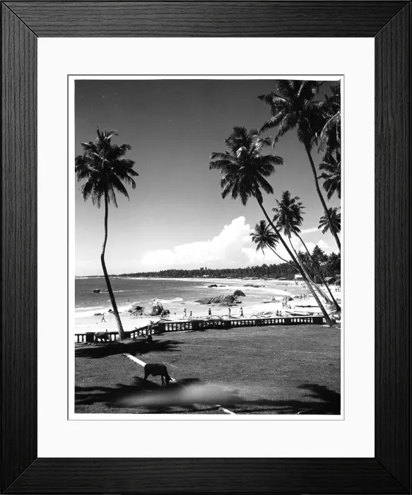 Framed Print : BEACH OF SRI LANKA Framed Print : BEACH OF SRI LANKA
