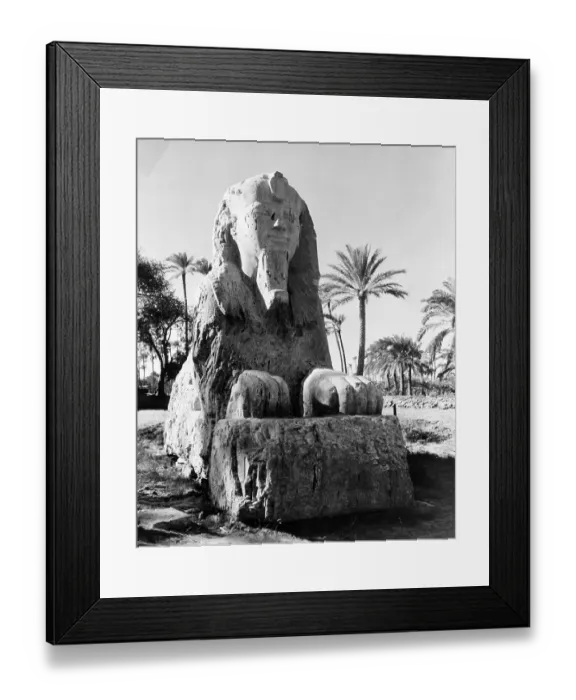 Framed Print : SPHINX IN SAKARA EGYPY Framed Print : SPHINX IN SAKARA EGYPY