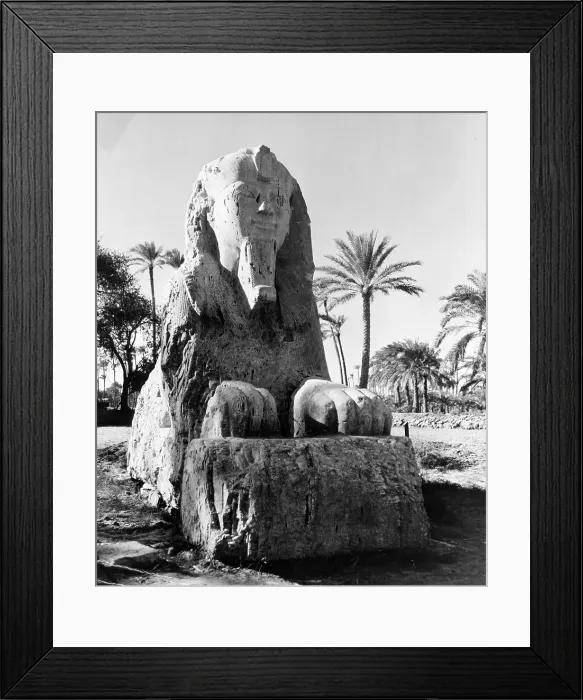 Framed Print : SPHINX NEAR SAKARA EGYPT Framed Print : SPHINX NEAR SAKARA EGYPT