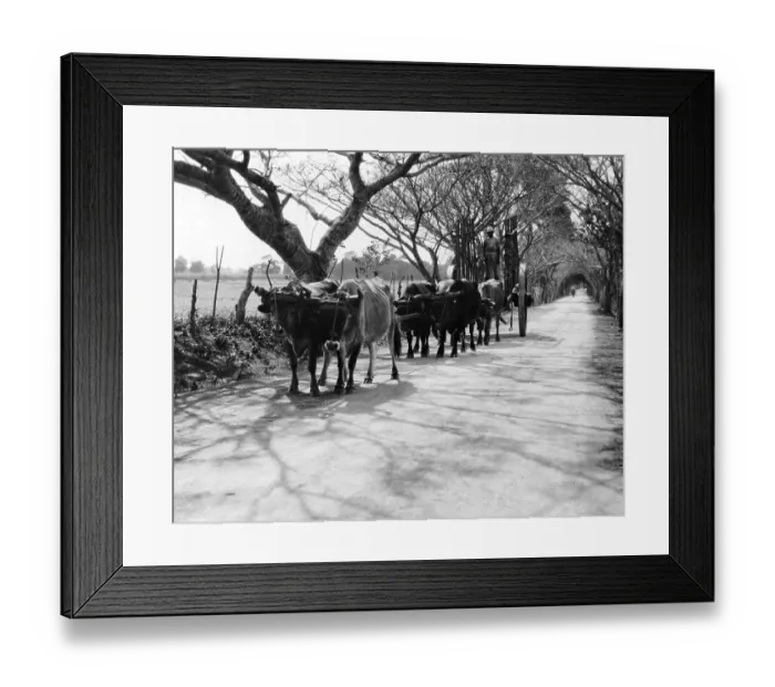 Framed Print : PEASANTS ON COUNTRY ROAD Framed Print : PEASANTS ON COUNTRY ROAD