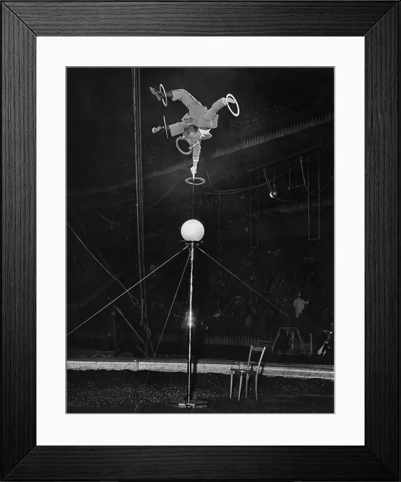 Framed Print : Balancing Act Framed Print : Balancing Act