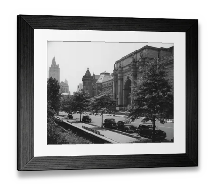 Framed Print : American Museum Of Natural History Framed Print : American Museum Of Natural History