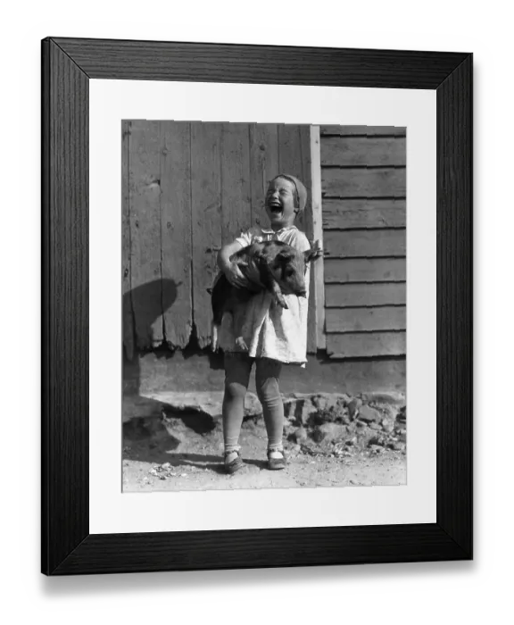Framed Print : Pigs Do Fly Framed Print : Pigs Do Fly