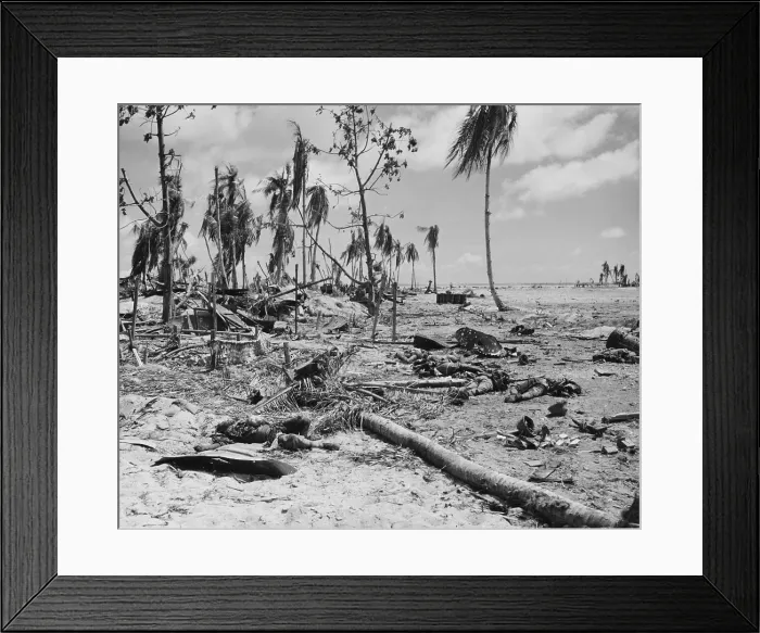 Framed Print : Japanese War Dead Framed Print : Japanese War Dead