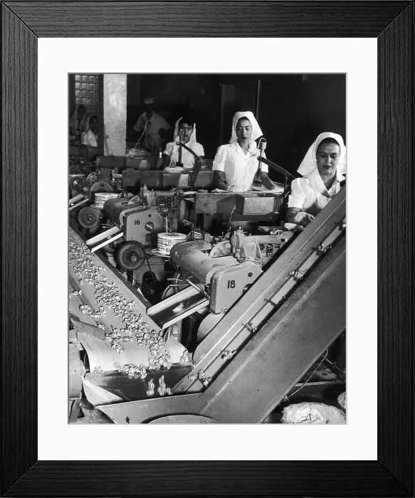 Framed Print : Women At Work In Candy Factory Framed Print : Women At Work In Candy Factory