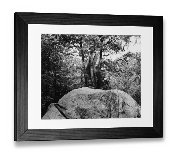 Framed Print : Walt Whitman Framed Print : Walt Whitman