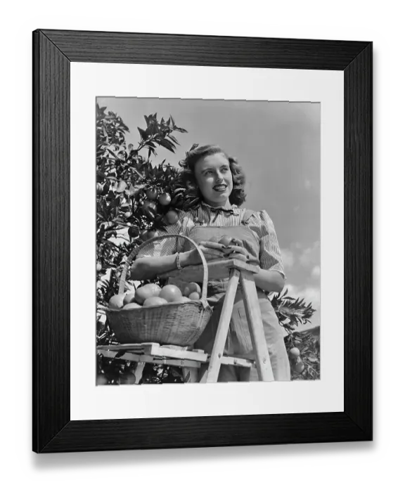 Framed Print : Orange Picker Framed Print : Orange Picker