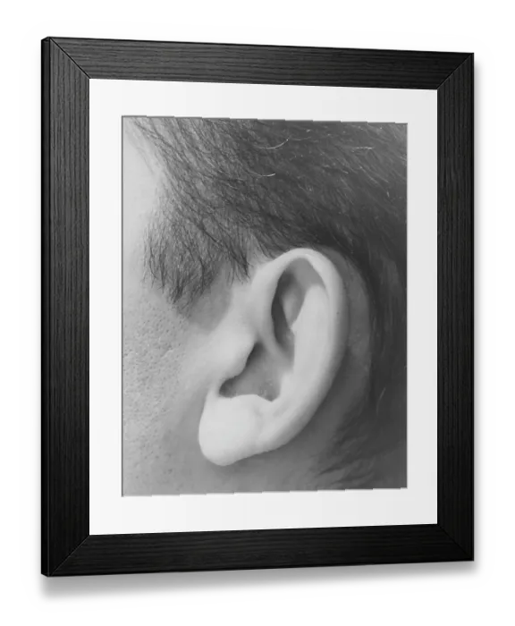 Framed Print : Close up of an Ear