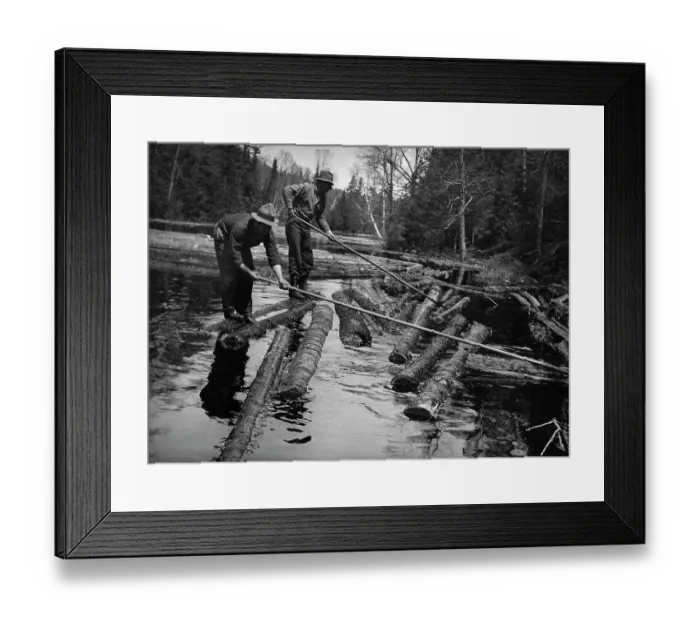 Framed Print : Log Drivin Men Framed Print : Log Drivin Men
