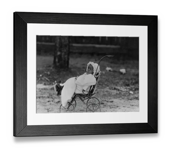 Framed Print : A Stroller In The Park Framed Print : A Stroller In The Park