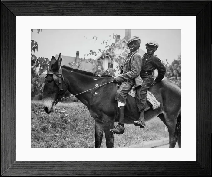 Framed Print : Taking The Reins On The Open Road Framed Print : Taking The Reins On The Open Road