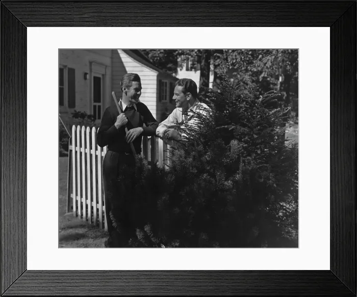 Framed Print : Friendly Neighbours