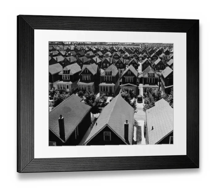 Framed Print : Suburban Queens Framed Print : Suburban Queens