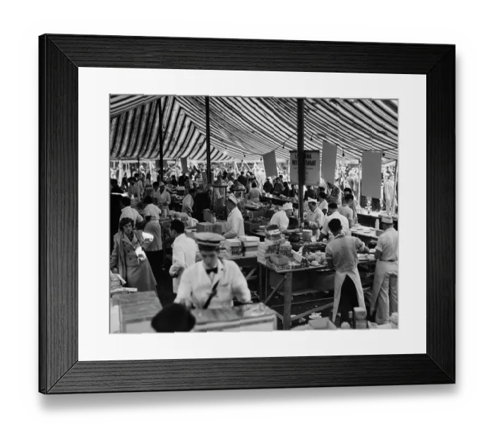 Framed Print : Hot Dawg Dog Show Framed Print : Hot Dawg Dog Show