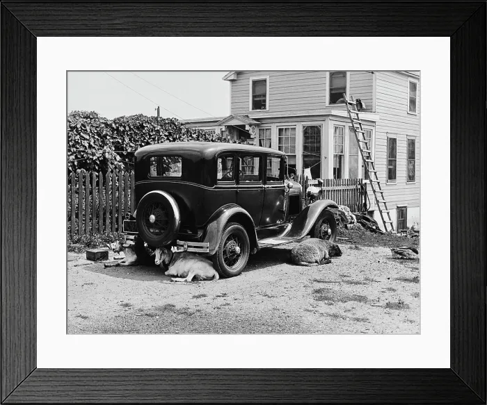 Framed Print : In The Shade Of A Ford Auto Framed Print : In The Shade Of A Ford Auto
