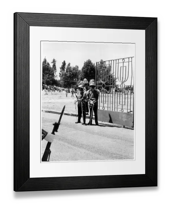 Framed Print : MAJESTY GUARDS Framed Print : MAJESTY GUARDS