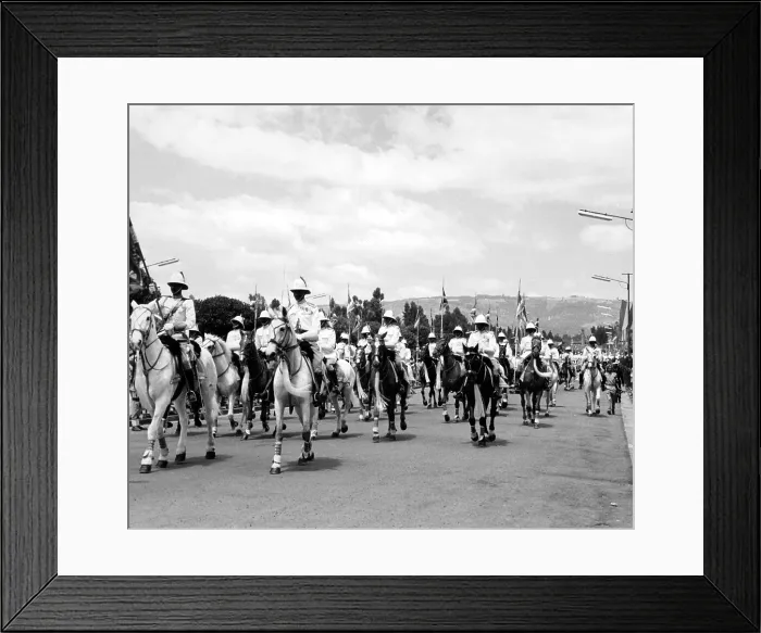 Framed Print : MAJESTY GUARDS Framed Print : MAJESTY GUARDS