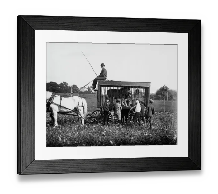 Framed Print : The Circus Comes To Town