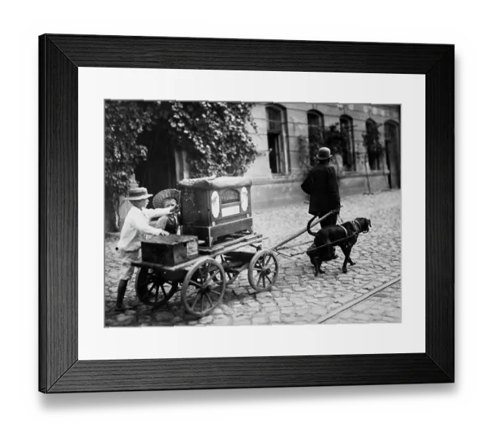Framed Print : Organ Grinder Framed Print : Organ Grinder
