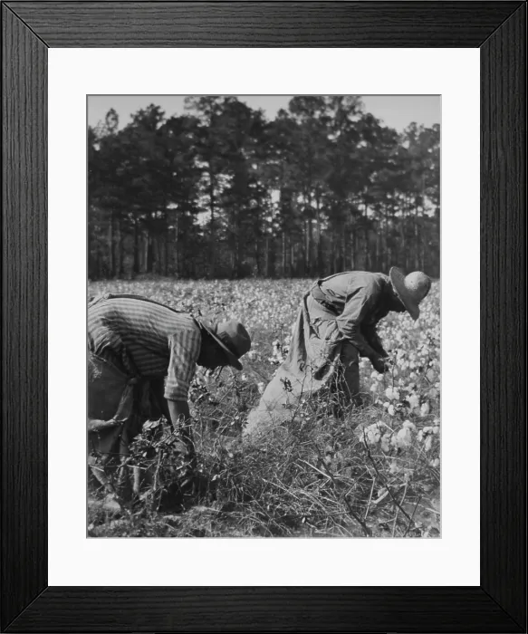 Framed Print : Sharecroppers Framed Print : Sharecroppers