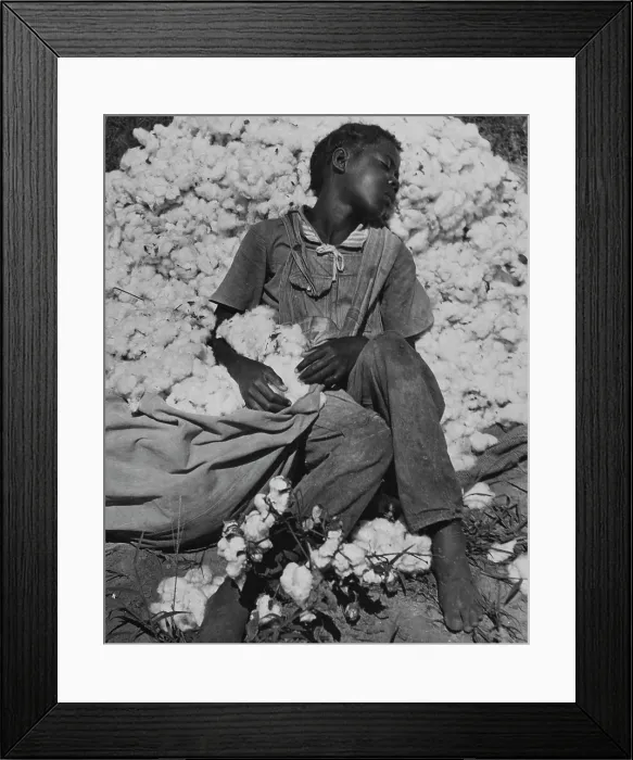 Framed Print : Young Sharecropper Asleep Framed Print : Young Sharecropper Asleep