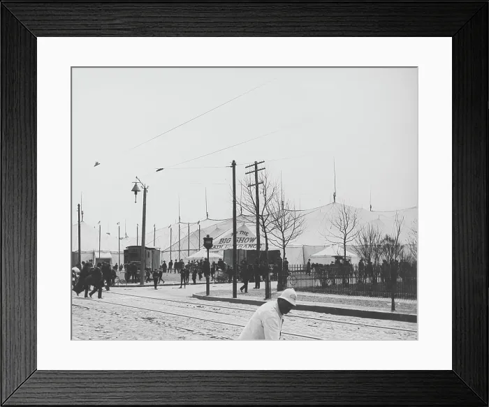 Framed Print : Big Top In Brooklyn Framed Print : Big Top In Brooklyn