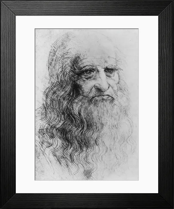 Framed Print : Leonardo Da Vinci Self Portrait Framed Print : Leonardo Da Vinci Self Portrait