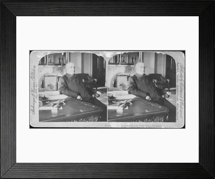 Framed Print : William McKinley