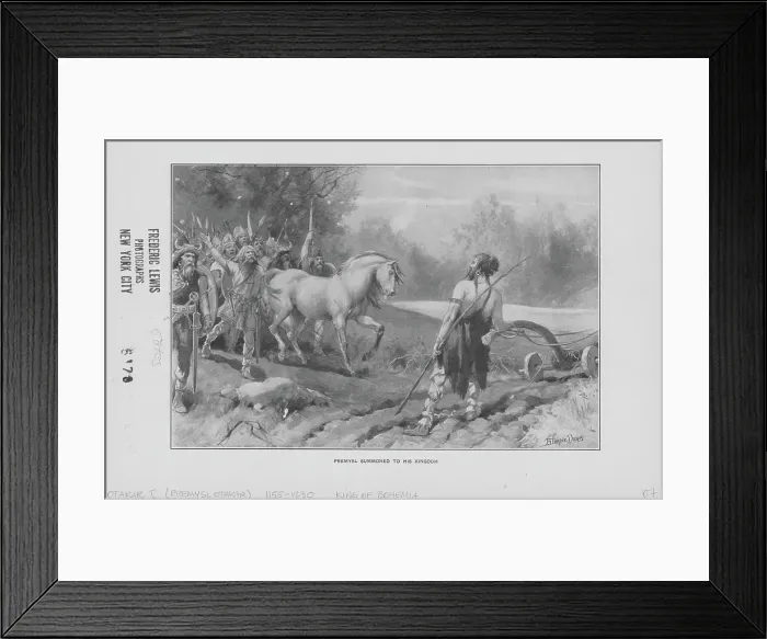 Framed Print : King Of Bohemia