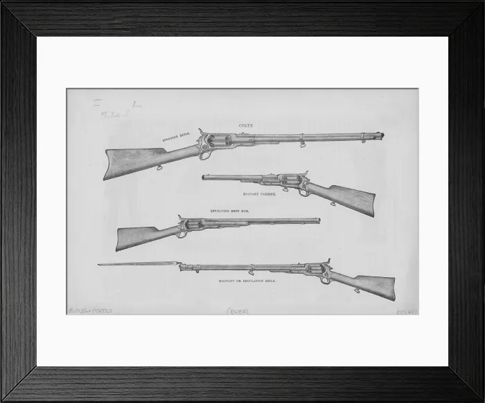 Framed Print : Rifles And Pistols Framed Print : Rifles And Pistols