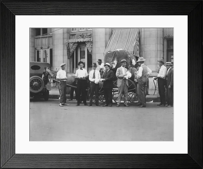 Framed Print : Cotton Buyers Framed Print : Cotton Buyers