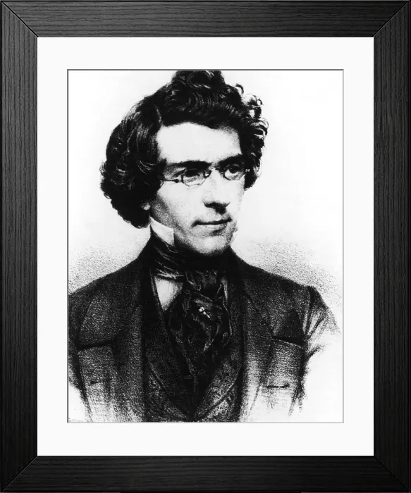Framed Print : Portrait of Matthew B. Brady