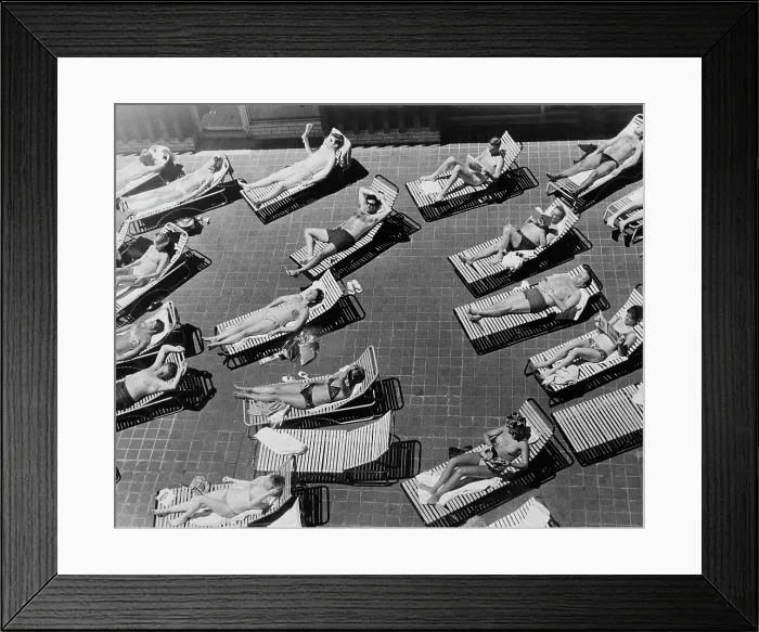 Framed Print : Sunbathing Framed Print : Sunbathing