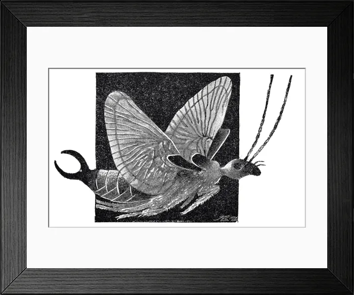Framed Print : Flying catnip Framed Print : Flying catnip