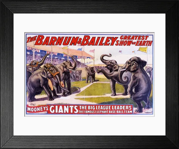 Framed Print : Mooney's Giants Elephant Baseball Team Framed Print : Mooney's Giants Elephant Baseball Team